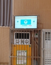 강원도 진광중학교 체육관